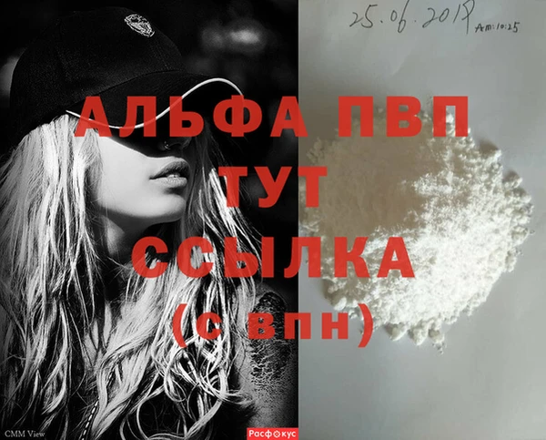 спиды Ладушкин